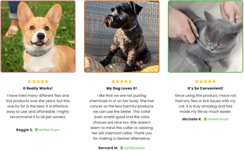 Fur Sweep Collar reviews