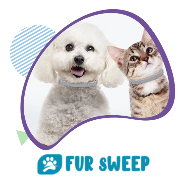 Where To Buy Fur Sweep Flea Collar